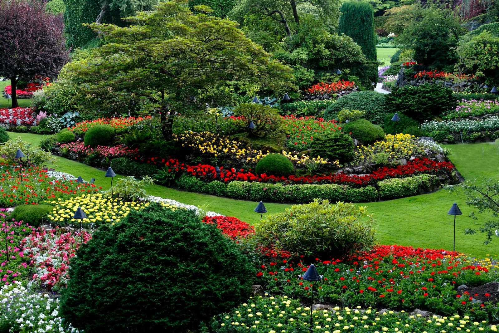 Freshly cut lawn and planted beds